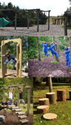 junglesti_billede.png
