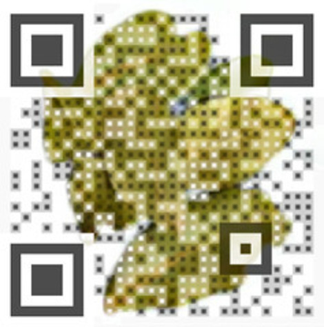 QR kode