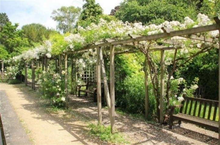 pergola.jpg