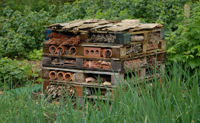 Insekthotel_Foto_Nina_Ewald__www.ninaewald.dk.jpg
