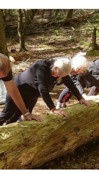 Natur_fitness_område.png